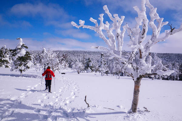 Réjean Aucoin - Chéticamp, Nouvelle-Écosse